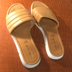 Tan slides